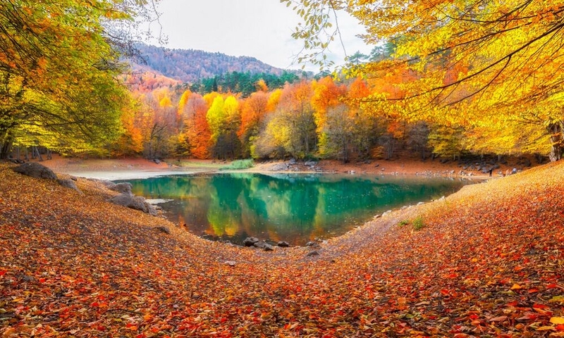 Batı Karadeniz Turu 3 Gün 3 Gece